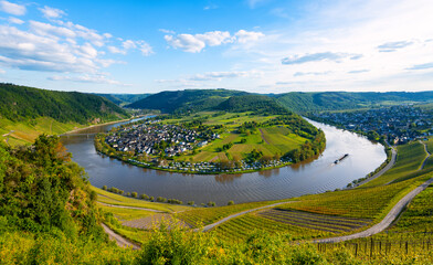 Panorama of the 180 degree river loop of the Moselle between Kröv and Traben-Trabach located in a...