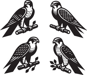 Obraz premium falcon vector ilastration
