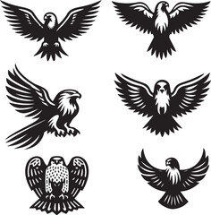 falcon vector ilastration