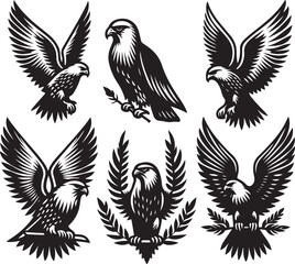 Obraz premium falcon vector ilastration