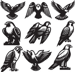 falcon vector ilastration