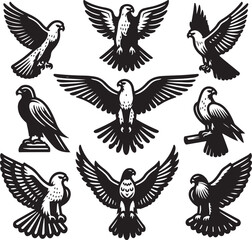 Obraz premium falcon vector ilastration