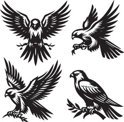 falcon vector ilastration