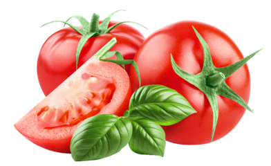 Delicious ripe tomatoes with basil leaves, cut out