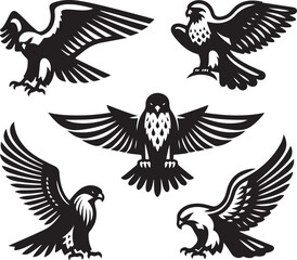 falcon vector ilastration