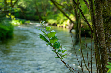 Lambre River, Miño, Villamayor, La Coruña, Galicia