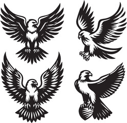 falcon vector ilastration