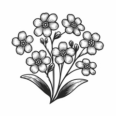 a drawing of flowers with the words flowers on it forgetmenot outline