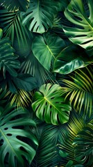 A background with circular palm leaves.