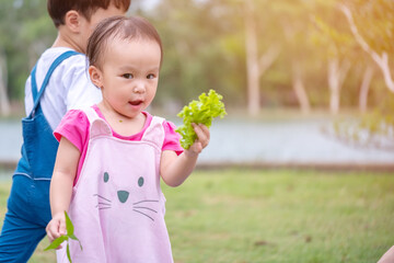 Little asian girl in the garden. kid playing outdoors in summer day. child eating vegetables. Copy space.