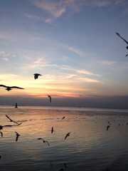 Sunset in Bangpu, Thailand.