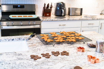 Baking Christmas Gingerbread Cookies in Modern White Kitchen