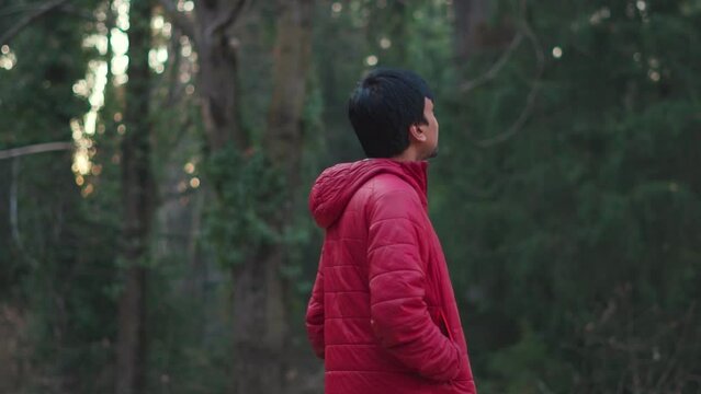 Portrait of an Indian male tourist walking in front of Pine tree forest at Manali in Himachal Pradesh, India. Tourist exploring Van Vihar national park in Manali. Man walks in front of pine tree	