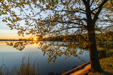 Dam between Bezdrev and Cesnovicky cip pond with spring color sunset with trees