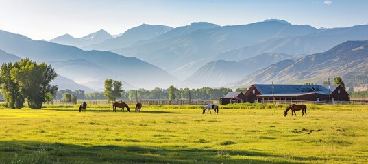 Serene Horse Farm Banner with Grazing Horses and Mountain Backdrop