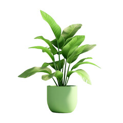 A green plant in a green pot is sitting on a white 