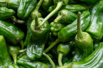 Fresh and Healthy Green Peppers: Nutritious Snack Vegetables Available at the Market. Organic, Tasty, and Full of Flavor, Perfect for a Nutritious Diet and Culinary Delights. the Best in Fresh Produce