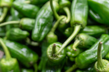 Fresh and Healthy Green Peppers: Nutritious Snack Vegetables Available at the Market. Organic, Tasty, and Full of Flavor, Perfect for a Nutritious Diet and Culinary Delights. the Best in Fresh Produce