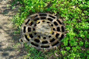A rustic, old manhole cover, covered with patches of moss, set against a background of fresh, spring foliage. This image captures the contrast between man-made objects and natural growth