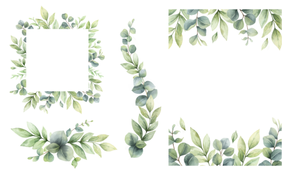 Eucalyptus leaves and greenery borders set.  Watercolor green leaves and branches. C for invitations, greeting cards, save the date, albums. Hand drawn illustration.
