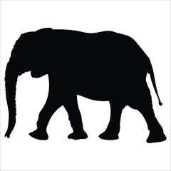 Fototapeta premium Elephant silhouette vector