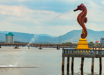 new seahorse at kampot province cambodia