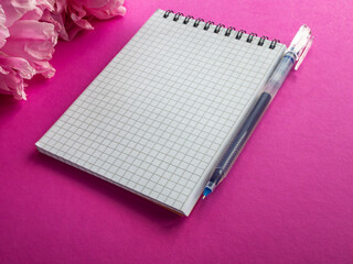 Spiral notepad with blue fountain pen on pink background with copy space, text place. Note sheet....