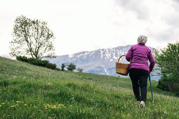 A woman walks down a grassy, flower-covered hill with a basket in her hand.