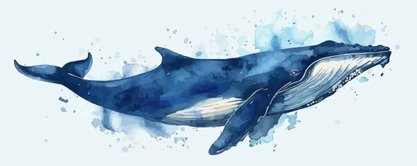Beautiful whale hand drawn watercolor illustration sea animals