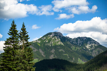 dolina chochołowska © Le_Dom