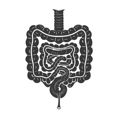 Silhouette human small intestine black color only