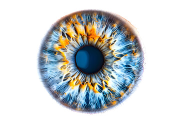Eye Iris Isolated on transparent background