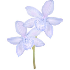 Orchids purple flower art