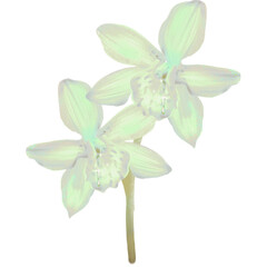 Orchids green  flower art