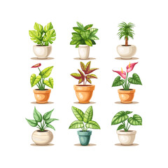 Set of trendy potted plants for home. Different indoor houseplants isolated on white background. Alocasia, begonia, fan palm, monstera, ficus, strelitzia and oxalis.vector isolated white background