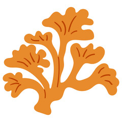 Coral vector illustration doodle drawing, isolated marine coral plant. Ocean plants, underwater flora, seaweed. Aquatic plant, algae, tropical seabed elements vector.