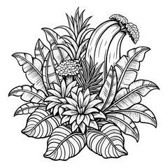 a drawing of a plant with the word  hibiscus  on it.
