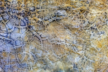 Cracked old concrete wall covered with cement surface and texture as background. Abstract beautiful grunge classic floor. Natural pattern. Texture of concrete surface. Vintage Grunge mortar wall.