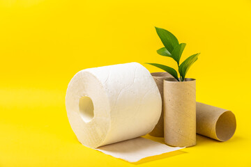 Empty toilet paper roll. Rolls of toilet paper on background. Paper tube of toilet paper. Place for text. Copy space. Flat lay. Eco-friendly reuse recycle