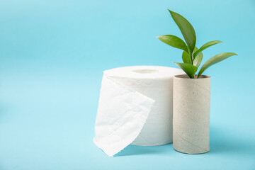 Empty toilet paper roll. Rolls of toilet paper on background. Paper tube of toilet paper. Place for...