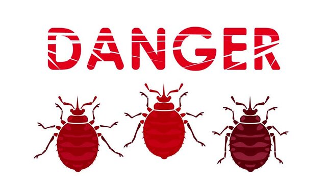  Animation, attention bedbugs.