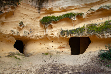 Cecina Etruscan tombs dug into the Bibbona tuff toscany