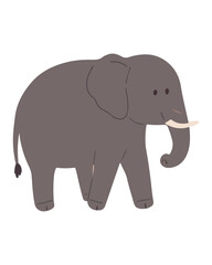 Elephant isolated on white background