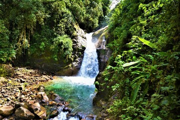 Beautiful nature at Rio Chirripo Pacifico in the Cloudbridge Nature Reserve (Talamanca mountains,...