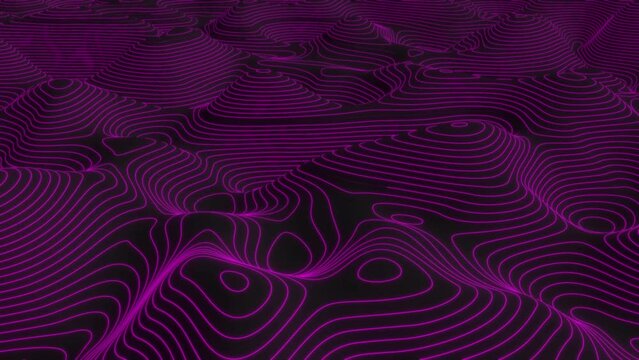 Pink curve lines level map technology topography 4k