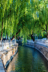 Summer landscape of Shichahai Park in Beijing