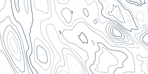 Topographic map background concept with space for your copy.  Contour background. Geographic abstract grid. EPS Vector illustration.