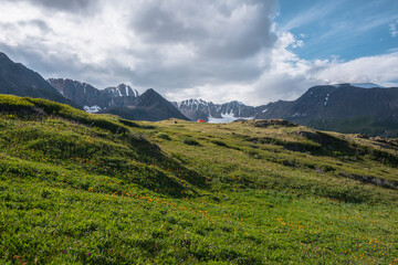 Wonderful blooming orange flowers and vivid orange tent on grassy hill in sunlight against snow mountain range silhouette. Colorful amazing scenery with lush alpine flora on sunlit flowering meadow.