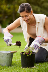 Gardening, soil and woman with pot plant in backyard for natural environment, growth and ecosystem. Nature, spring and person with flowers, trees and sprout for sustainability and gardener hobby