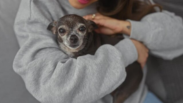 A young woman cuddles her senior chihuahua on a cozy sofa indoors, symbolizing pet companionship and care.